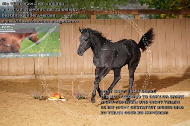 s_K3F05372.JPG